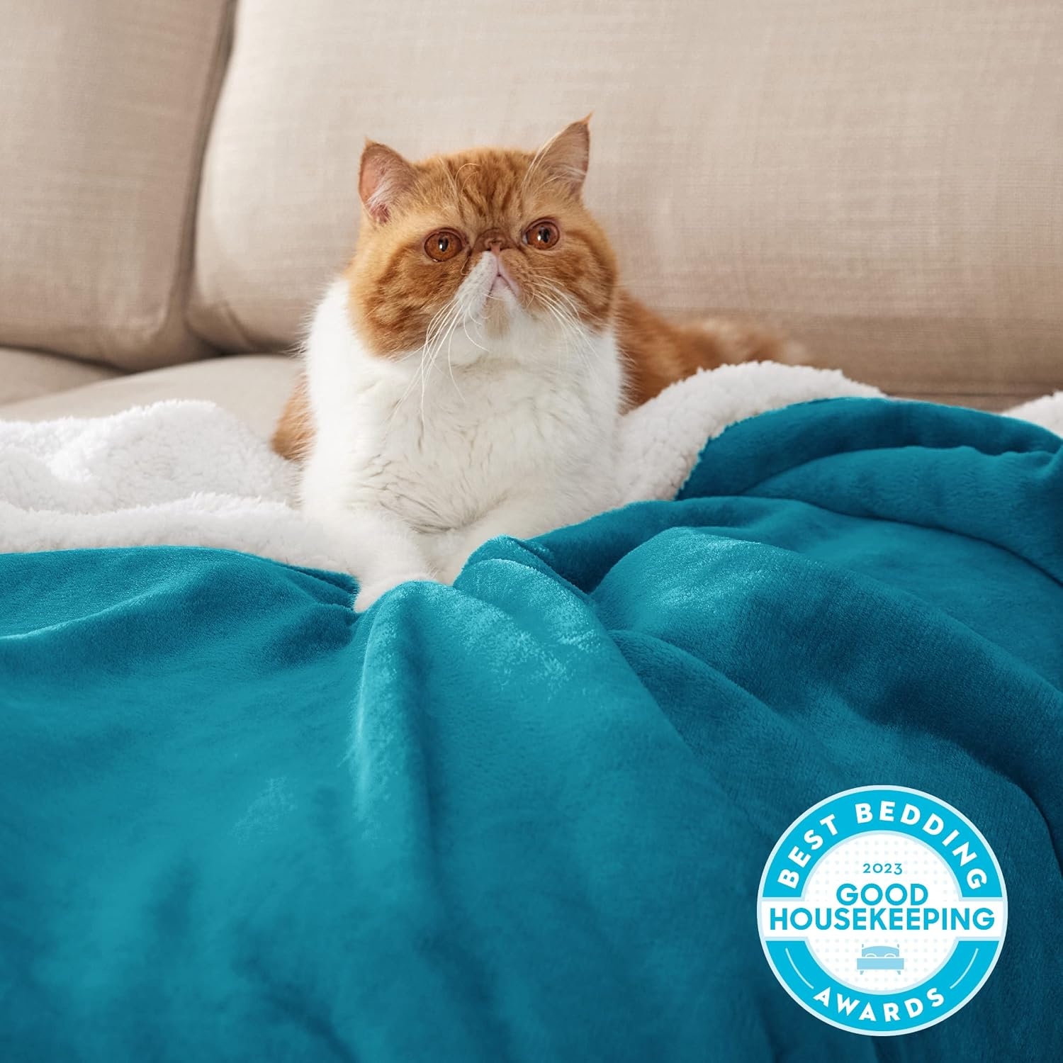 image:imageBedsure GentleSoft Sherpa Fleece Throw Blanket for Couch NonHeated Thick amp Warm Cozy Comfort Blanket for Winter Fall Soft Fuzzy Plush Throw Gifts for Women and Men Grey 50x60 Inches09 Teal