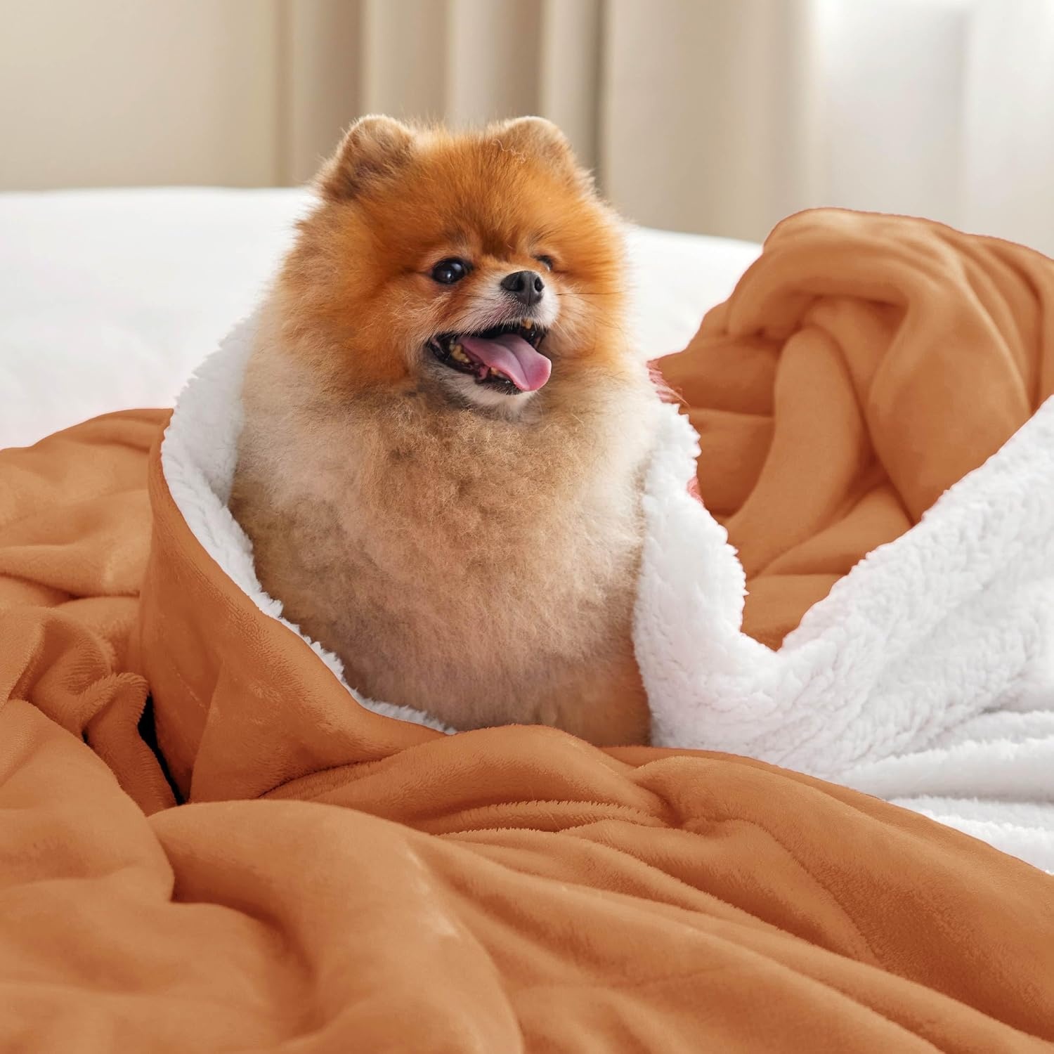 image:imageBedsure GentleSoft Sherpa Fleece Throw Blanket for Couch NonHeated Thick amp Warm Cozy Comfort Blanket for Winter Fall Soft Fuzzy Plush Throw Gifts for Women and Men Grey 50x60 Inches09 Burnt Orange