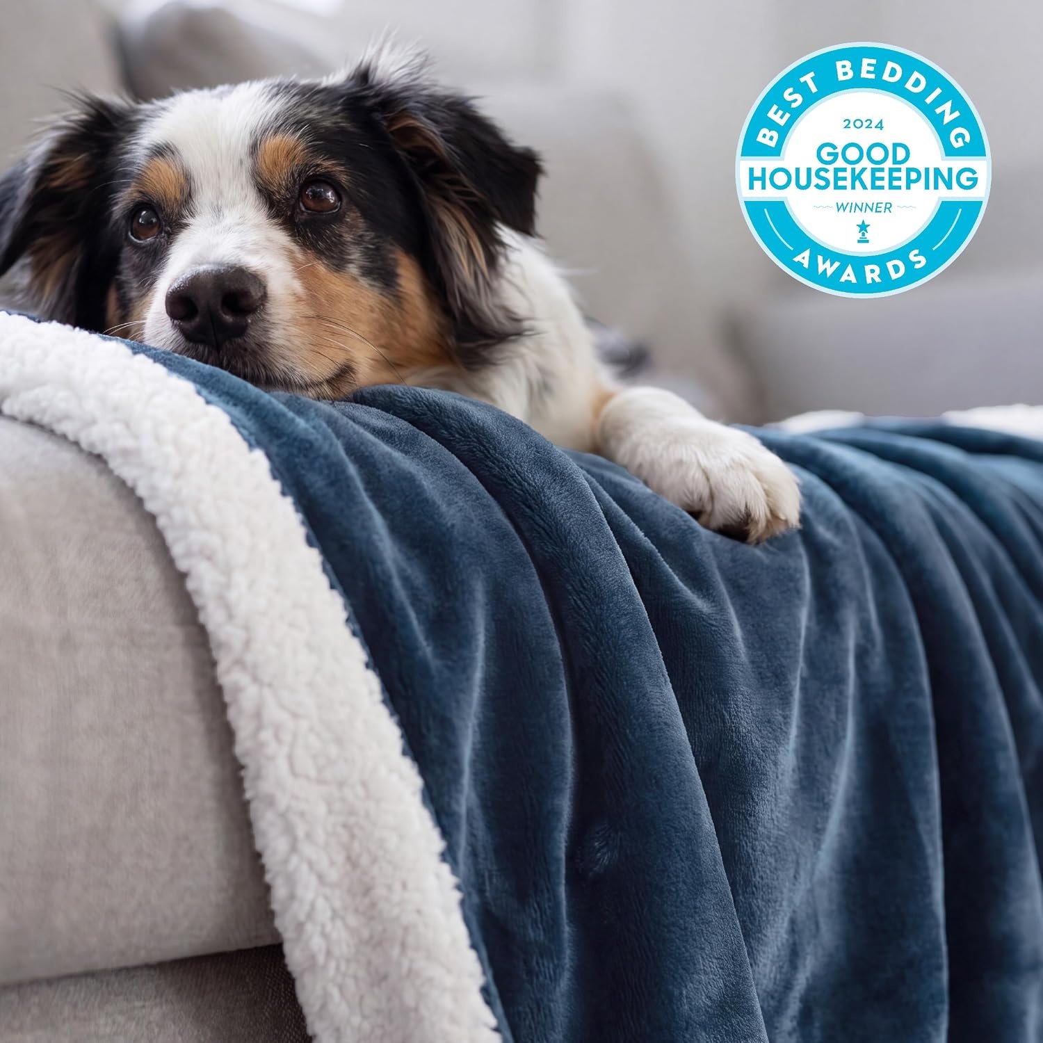 image:imageBedsure GentleSoft Sherpa Fleece Throw Blanket for Couch NonHeated Thick amp Warm Cozy Comfort Blanket for Winter Fall Soft Fuzzy Plush Throw Gifts for Women and Men Grey 50x60 Inches03 Slate Blue