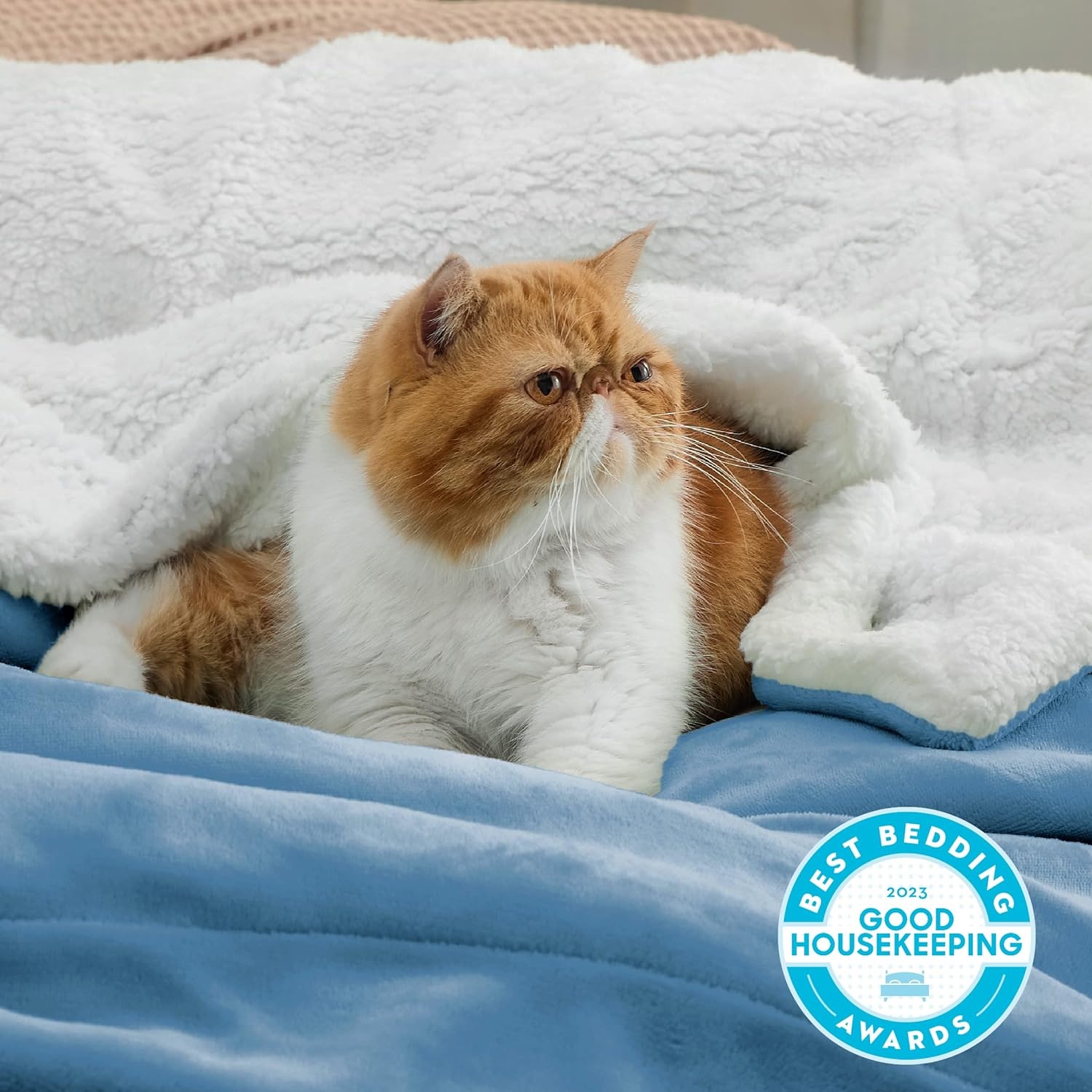 image:imageBedsure GentleSoft Sherpa Fleece Throw Blanket for Couch NonHeated Thick amp Warm Cozy Comfort Blanket for Winter Fall Soft Fuzzy Plush Throw Gifts for Women and Men Grey 50x60 Inches03 Washed Blue