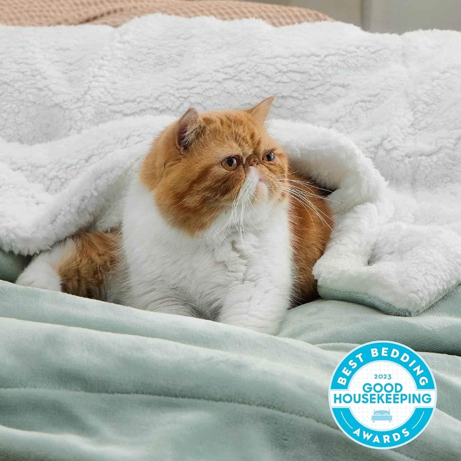 image:imageBedsure GentleSoft Sherpa Fleece Throw Blanket for Couch NonHeated Thick amp Warm Cozy Comfort Blanket for Winter Fall Soft Fuzzy Plush Throw Gifts for Women and Men Grey 50x60 Inches04 Sage Green