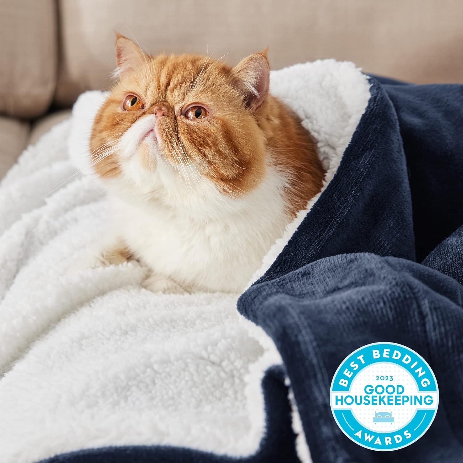 image:imageBedsure GentleSoft Sherpa Fleece Throw Blanket for Couch NonHeated Thick amp Warm Cozy Comfort Blanket for Winter Fall Soft Fuzzy Plush Throw Gifts for Women and Men Grey 50x60 Inches03 Navy