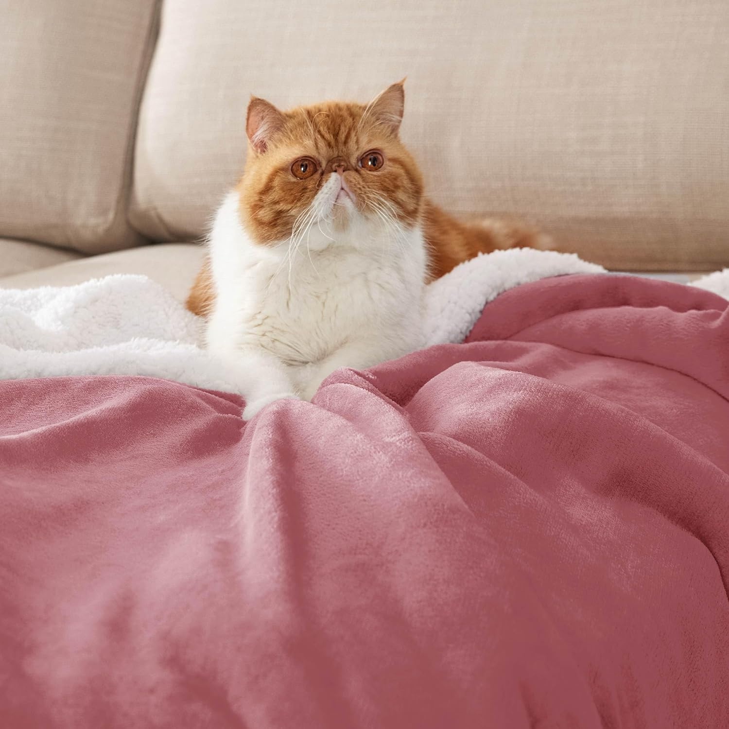 image:imageBedsure GentleSoft Sherpa Fleece Throw Blanket for Couch NonHeated Thick amp Warm Cozy Comfort Blanket for Winter Fall Soft Fuzzy Plush Throw Gifts for Women and Men Grey 50x60 Inches07 Dusty Rose