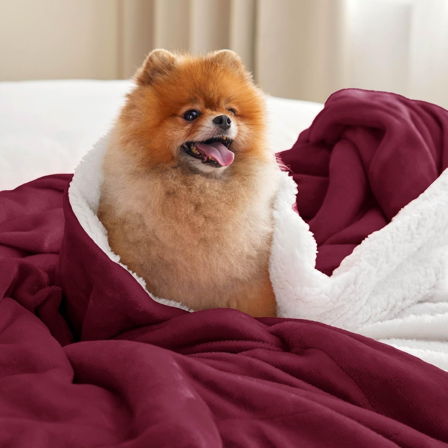 image:imageBedsure GentleSoft Sherpa Fleece Throw Blanket for Couch NonHeated Thick amp Warm Cozy Comfort Blanket for Winter Fall Soft Fuzzy Plush Throw Gifts for Women and Men Grey 50x60 Inches07 Burgundy