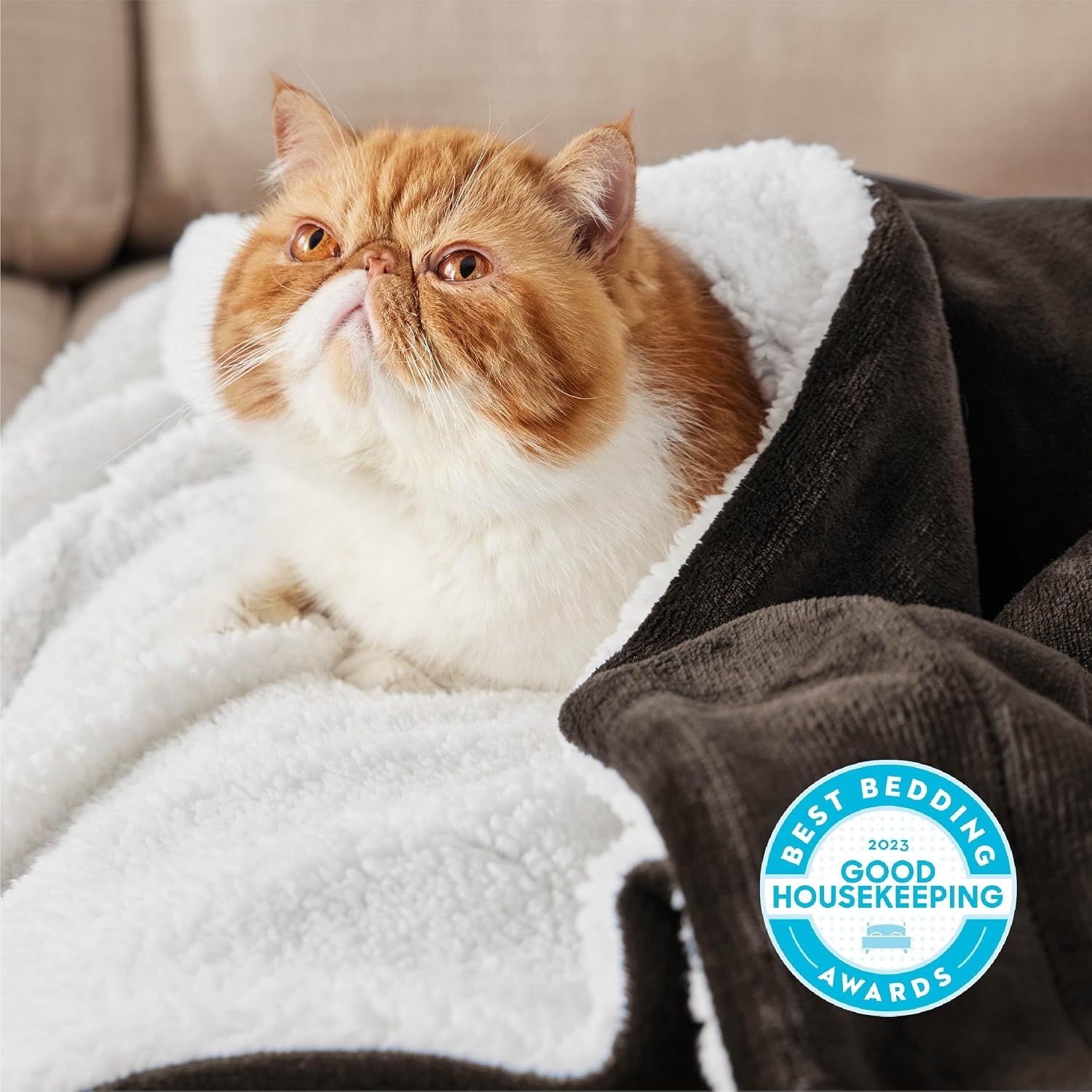 image:imageBedsure GentleSoft Sherpa Fleece Throw Blanket for Couch NonHeated Thick amp Warm Cozy Comfort Blanket for Winter Fall Soft Fuzzy Plush Throw Gifts for Women and Men Grey 50x60 Inches05 Brown