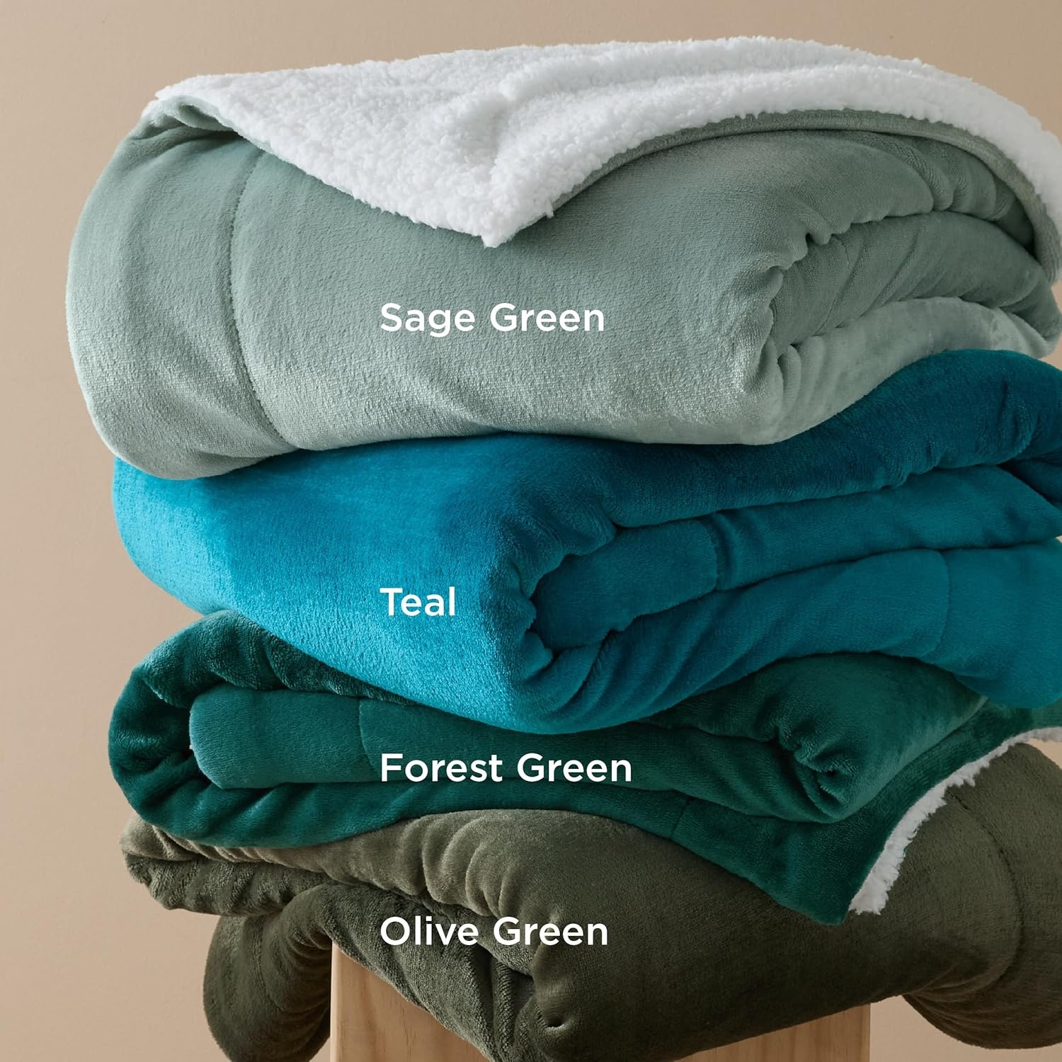 image:imageBedsure GentleSoft Sherpa Fleece Throw Blanket for Couch NonHeated Thick amp Warm Cozy Comfort Blanket for Winter Fall Soft Fuzzy Plush Throw Gifts for Women and Men Grey 50x60 Inches04 Sage Green