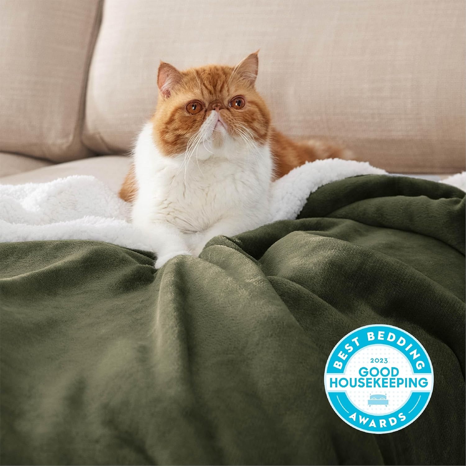image:imageBedsure GentleSoft Sherpa Fleece Throw Blanket for Couch NonHeated Thick amp Warm Cozy Comfort Blanket for Winter Fall Soft Fuzzy Plush Throw Gifts for Women and Men Grey 50x60 Inches04 Olive Green