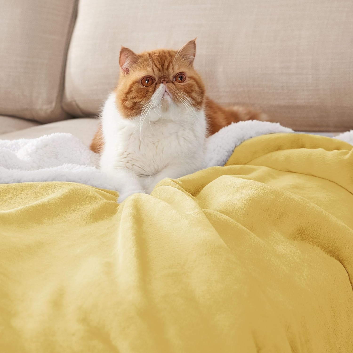 image:imageBedsure GentleSoft Sherpa Fleece Throw Blanket for Couch NonHeated Thick amp Warm Cozy Comfort Blanket for Winter Fall Soft Fuzzy Plush Throw Gifts for Women and Men Grey 50x60 Inches03 Yellow