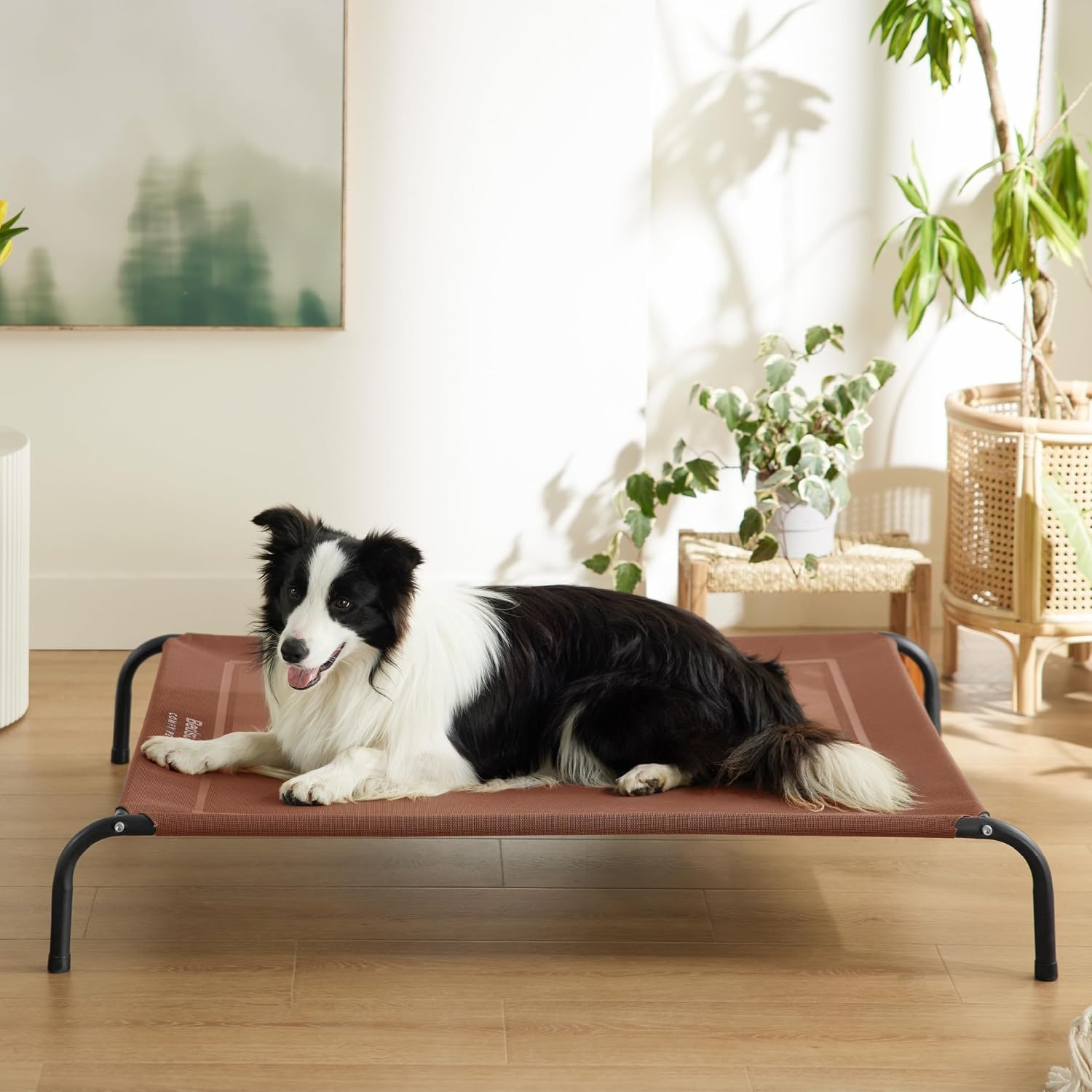 image:imageBedsure Outdoor Elevated Cooling Dog Bed Medium Size Dog 43in Terracotta Portable Raised Camping Pet Cot HammockBreathable Teslin MeshWeather ResistantFor Medium Pet Up to 65 lbsEasy to AssembleTerracotta