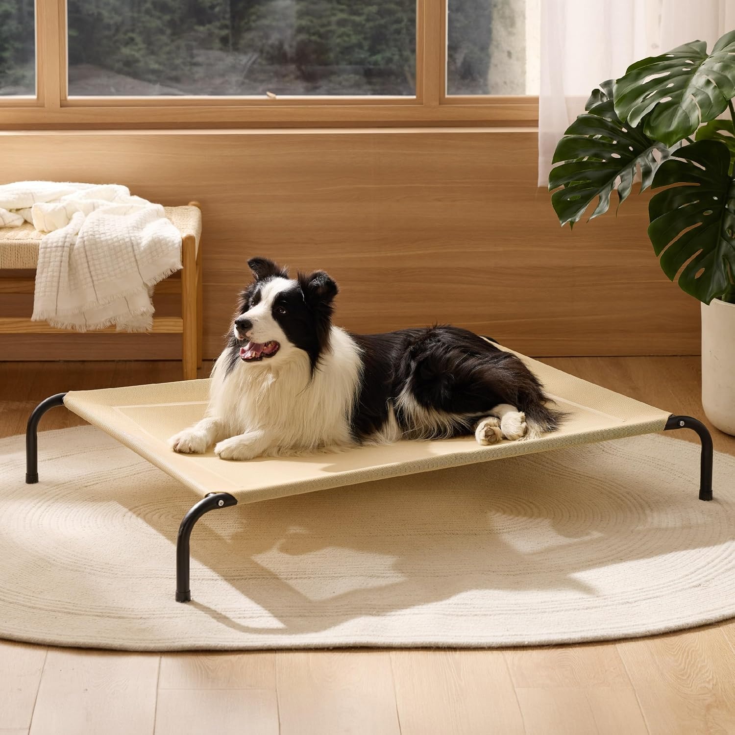 image:imageBedsure Outdoor Elevated Cooling Dog Bed Medium Size Dog 43in Terracotta Portable Raised Camping Pet Cot HammockBreathable Teslin MeshWeather ResistantFor Medium Pet Up to 65 lbsEasy to AssembleKhaki