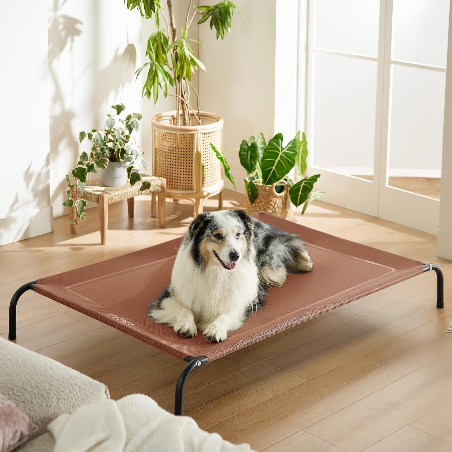 image:imageBedsure Outdoor Elevated Cooling Dog Bed Medium Size Dog 43in Terracotta Portable Raised Camping Pet Cot HammockBreathable Teslin MeshWeather ResistantFor Medium Pet Up to 65 lbsEasy to AssembleTerracotta