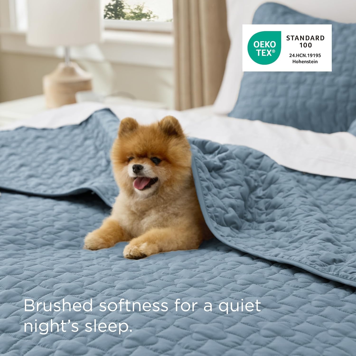 image:imageBedsure Queen Size Quilt Lightweight Comforter Set Mineral Blue Bedspread Coverlet Basket Weave AllSeason Comfort SkinFriendly Soft Breathable Machine Washable 90x96 3 Pcs 2 Pillow Shams11 Dusty Blue Lucky Star