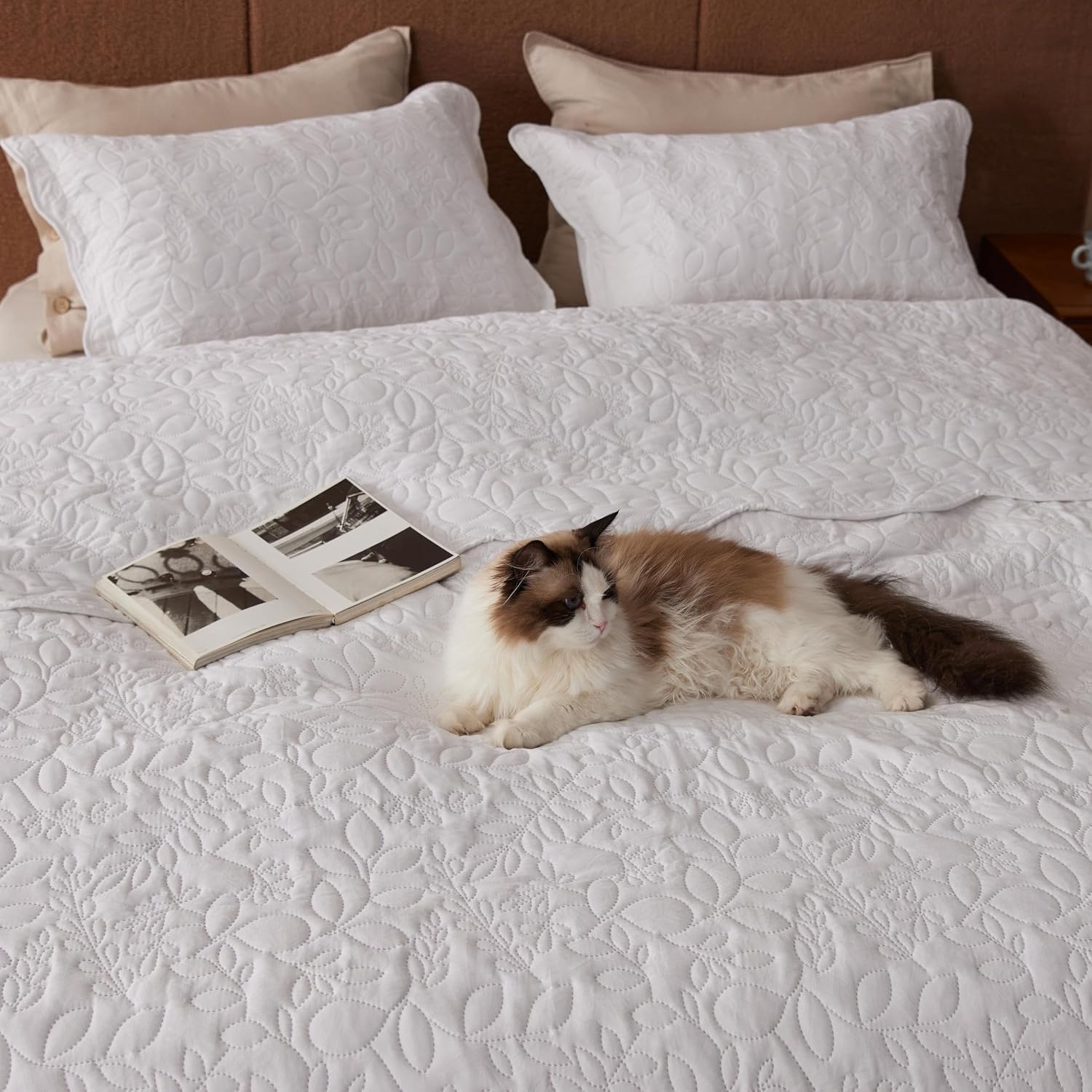 image:imageBedsure Quilts Queen Size Bedspread Thin Comforter Charcoal Coverlet AllSeason Bedding Soft Modern Clover Pattern StitchFree QuiltTech PetFriendly Machine Washable 90x96in 3 Pcs17 Bright White Leaf