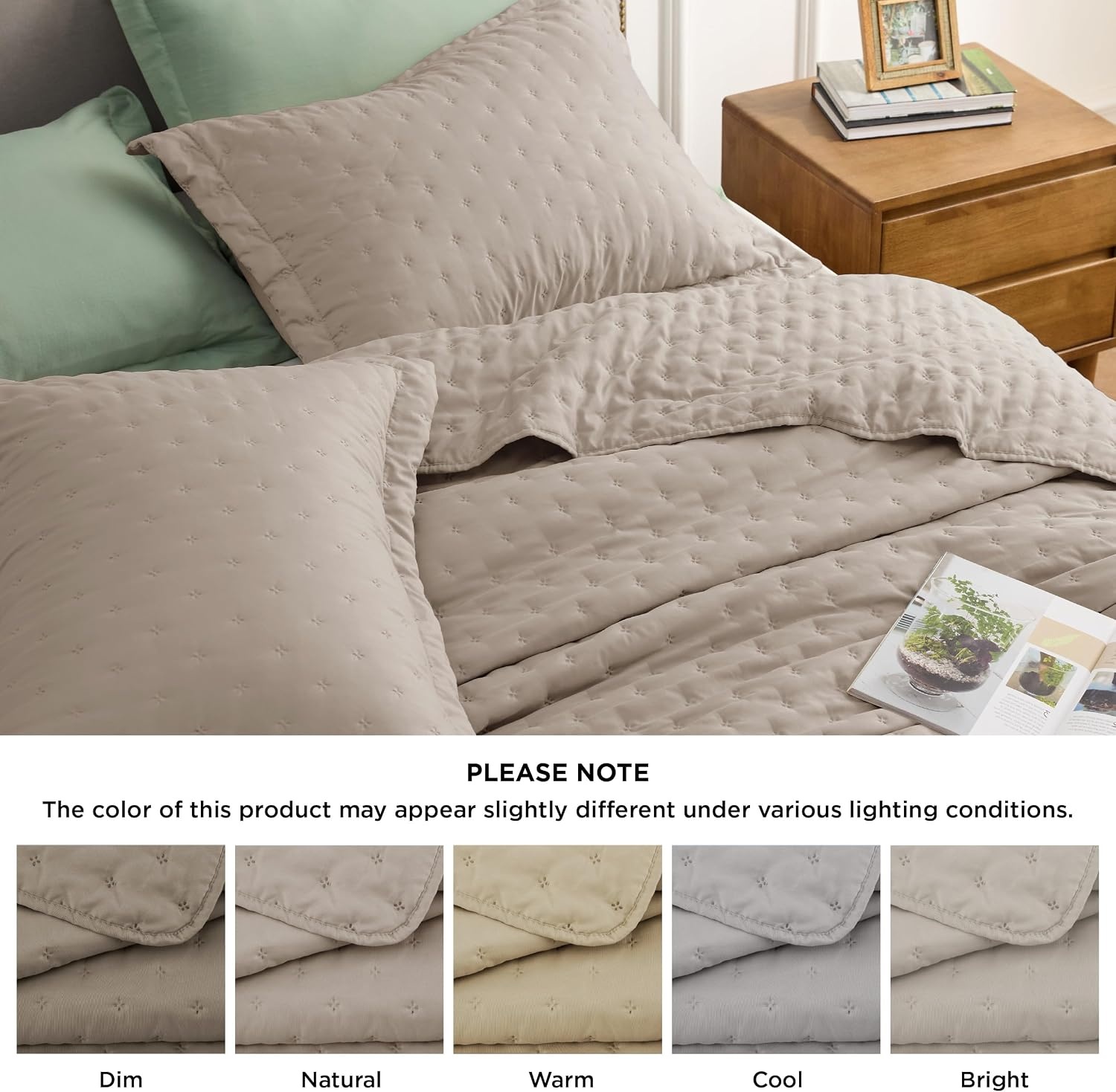 image:imageBedsure Quilts Queen Size Bedspread Thin Comforter Charcoal Coverlet AllSeason Bedding Soft Modern Clover Pattern StitchFree QuiltTech PetFriendly Machine Washable 90x96in 3 Pcs10 Taupe Clover