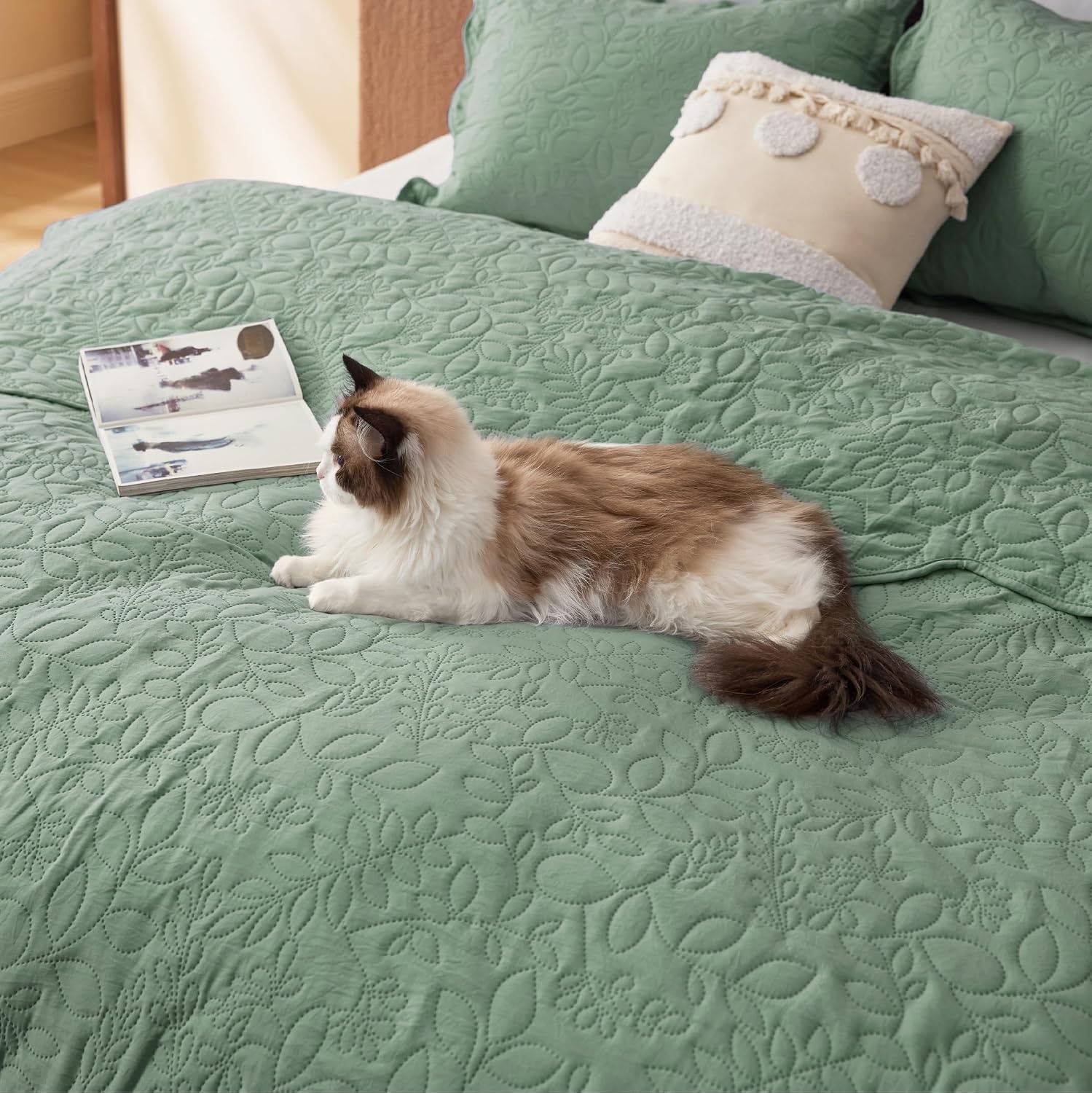 image:imageBedsure Quilts Queen Size Bedspread Thin Comforter Charcoal Coverlet AllSeason Bedding Soft Modern Clover Pattern StitchFree QuiltTech PetFriendly Machine Washable 90x96in 3 Pcs09 Sage Green Leaf