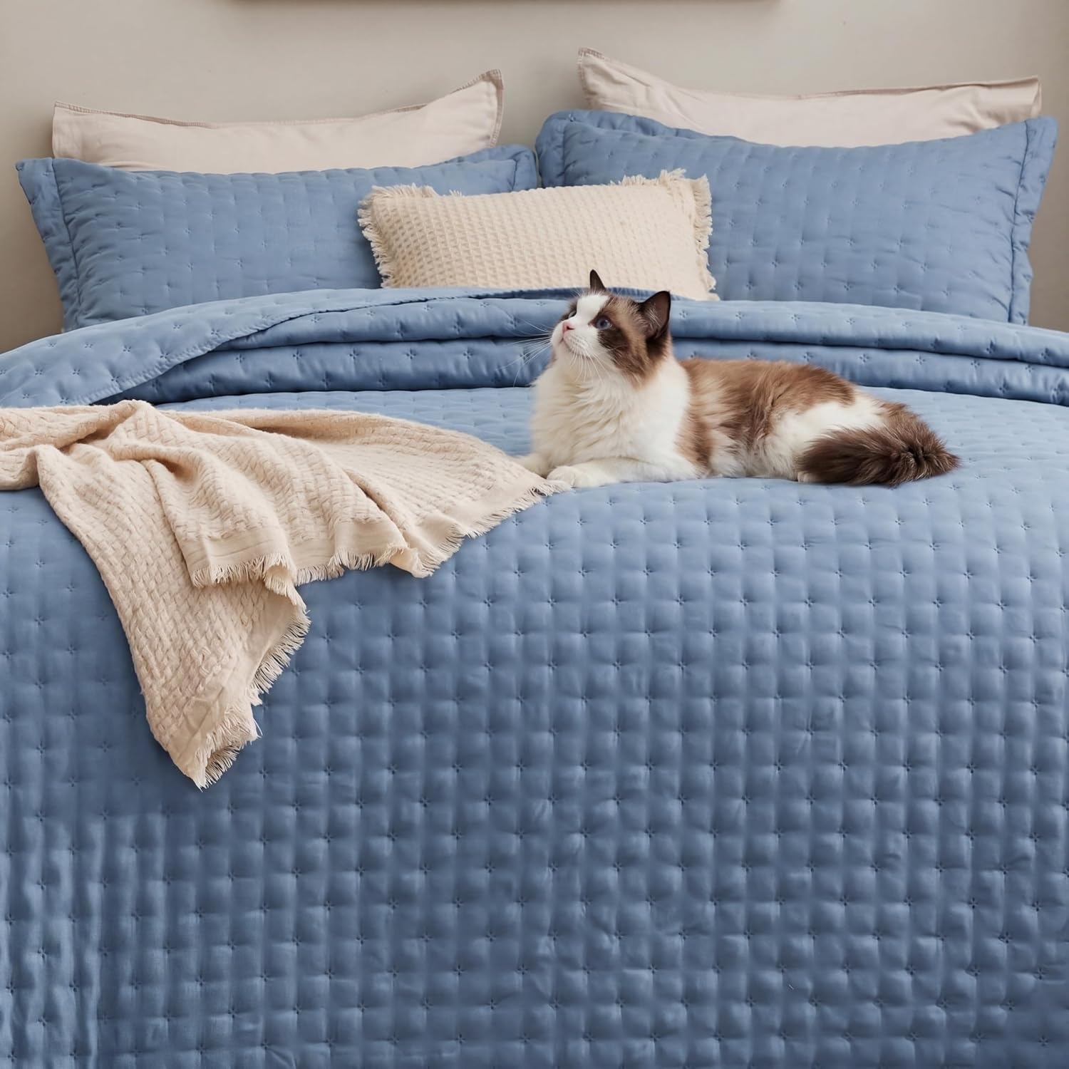 image:imageBedsure Quilts Queen Size Bedspread Thin Comforter Charcoal Coverlet AllSeason Bedding Soft Modern Clover Pattern StitchFree QuiltTech PetFriendly Machine Washable 90x96in 3 Pcs03 Mineral Blue Clover