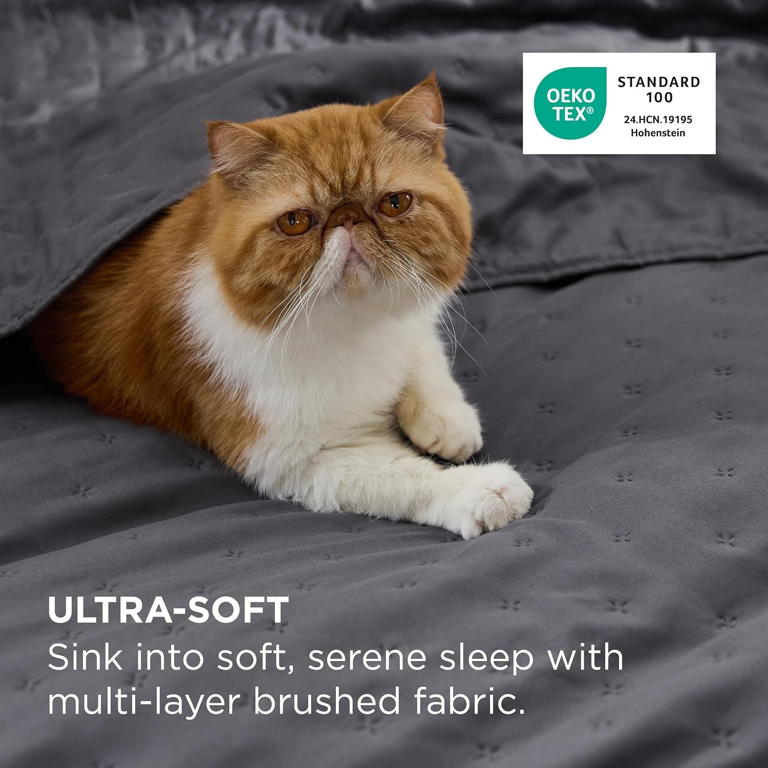 image:imageBedsure Quilts Queen Size Bedspread Thin Comforter Charcoal Coverlet AllSeason Bedding Soft Modern Clover Pattern StitchFree QuiltTech PetFriendly Machine Washable 90x96in 3 Pcs19 Charcoal Clover
