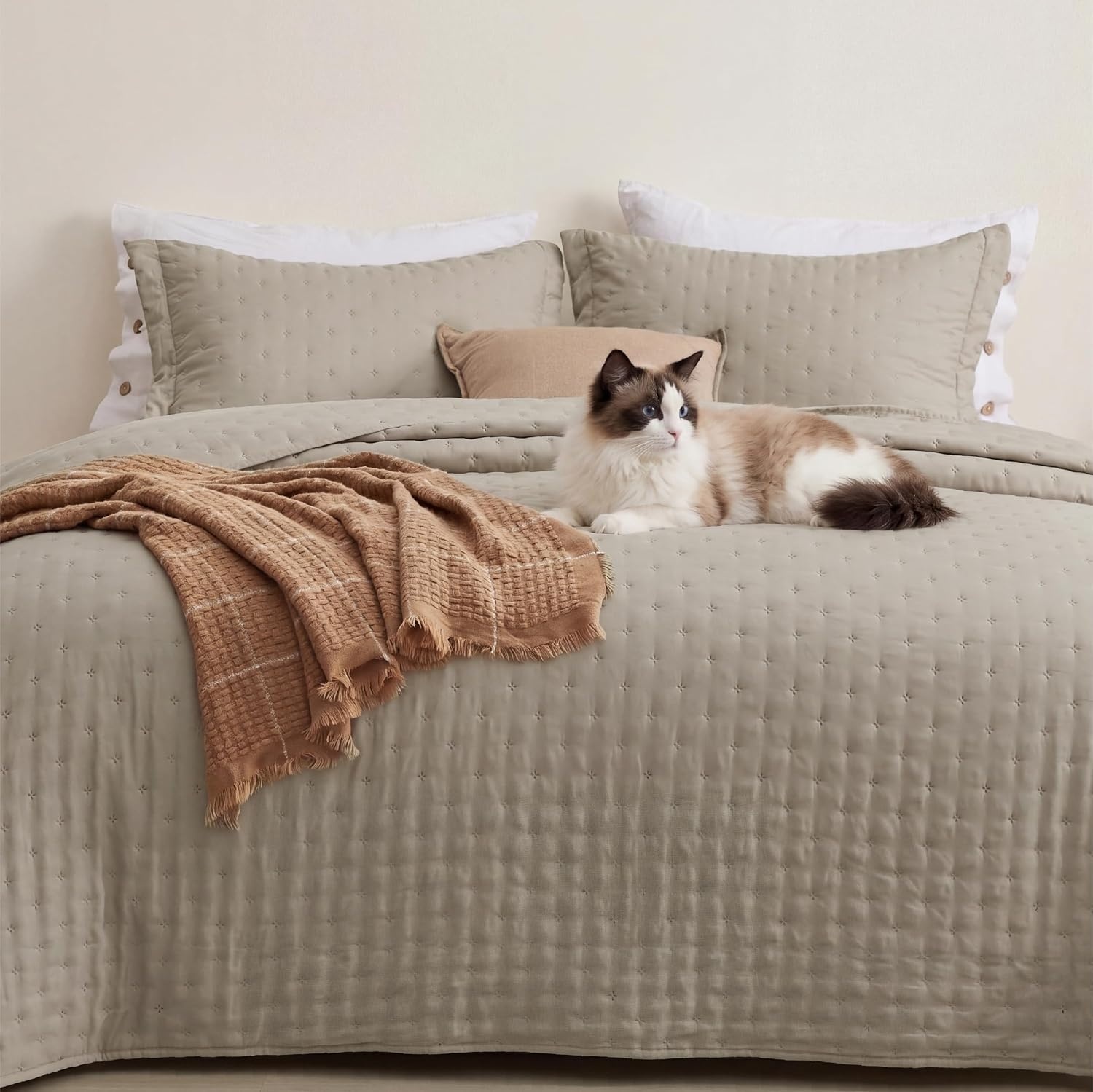 image:imageBedsure Quilts Queen Size Bedspread Thin Comforter Charcoal Coverlet AllSeason Bedding Soft Modern Clover Pattern StitchFree QuiltTech PetFriendly Machine Washable 90x96in 3 Pcs10 Taupe Clover