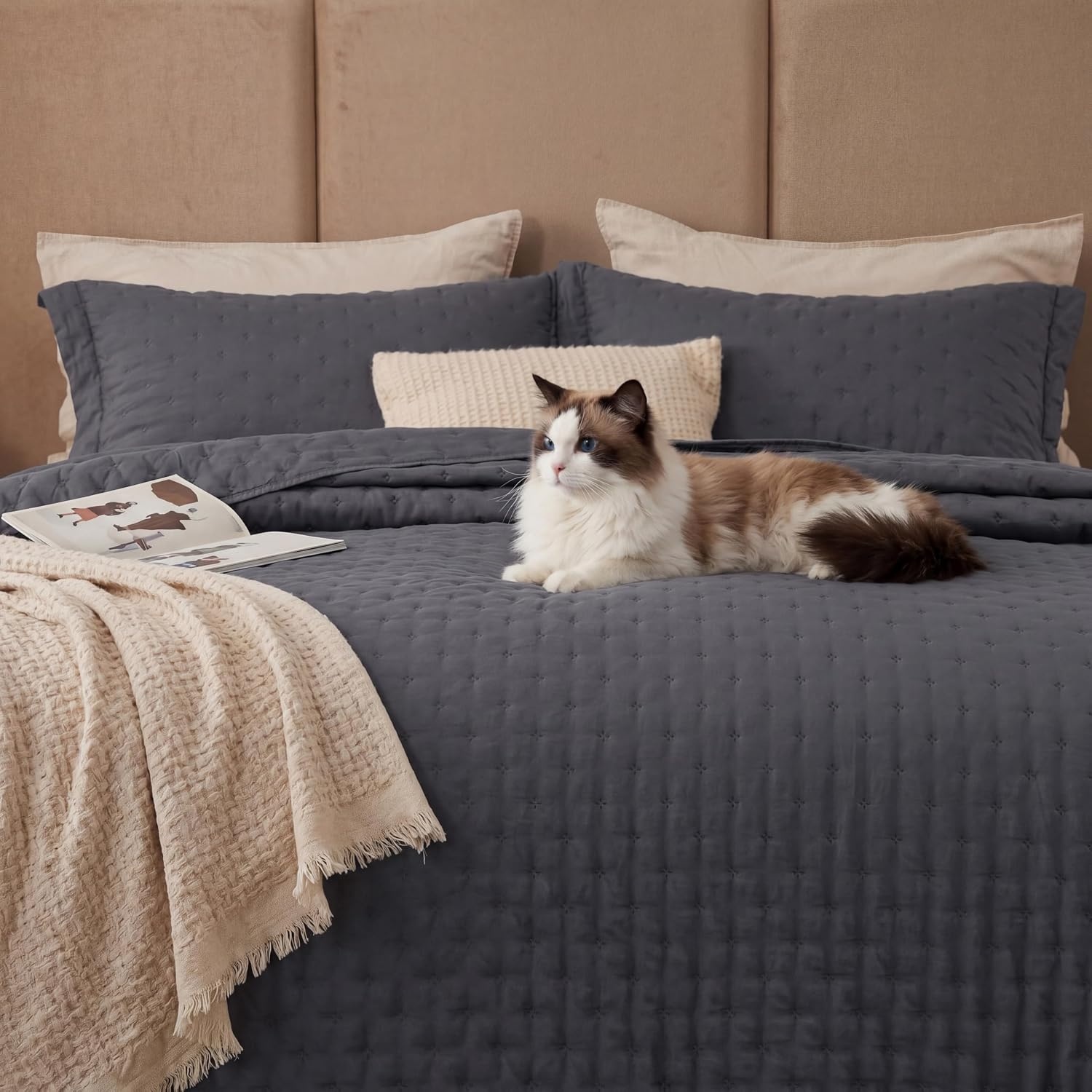 image:imageBedsure Quilts Queen Size Bedspread Thin Comforter Charcoal Coverlet AllSeason Bedding Soft Modern Clover Pattern StitchFree QuiltTech PetFriendly Machine Washable 90x96in 3 Pcs19 Charcoal Clover