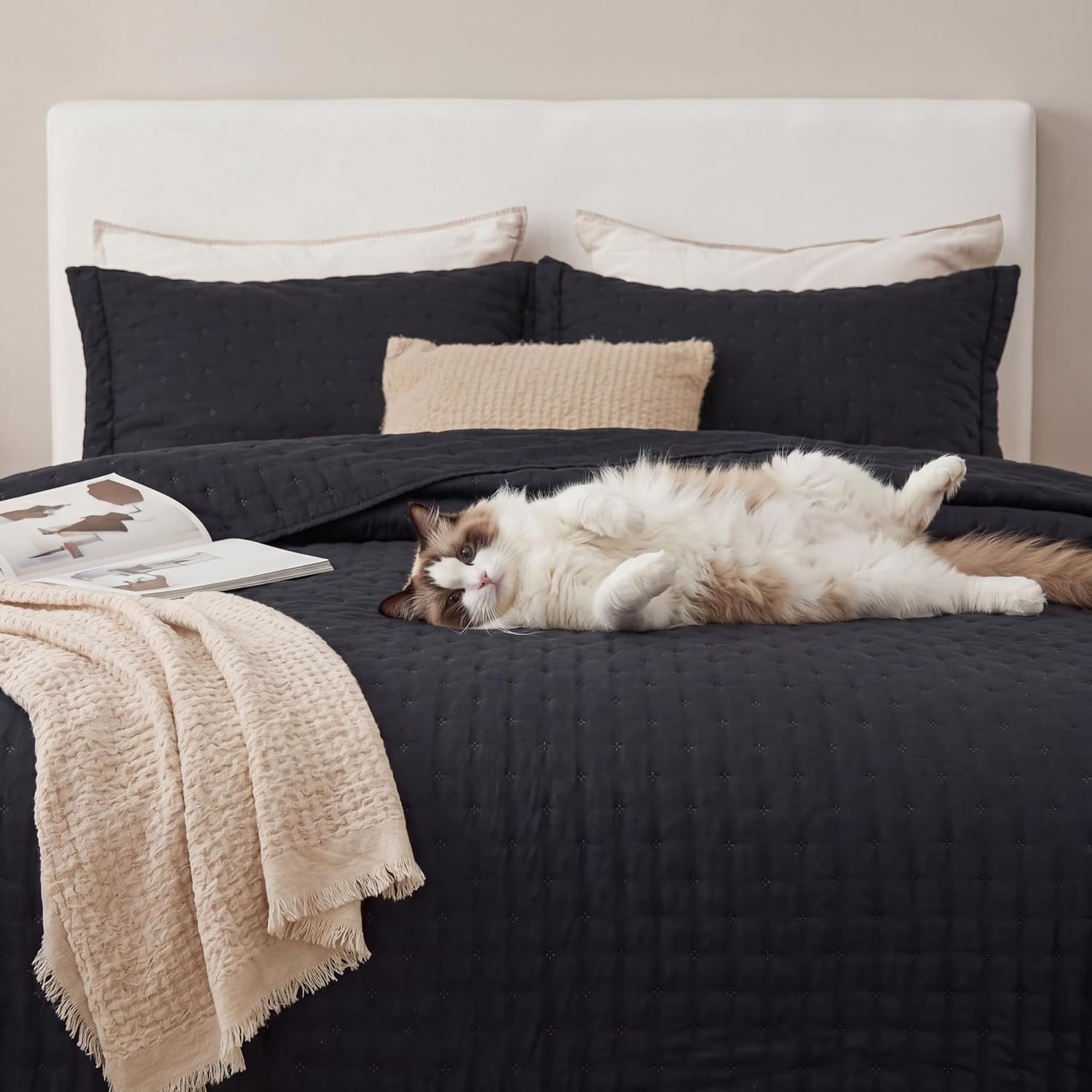 image:imageBedsure Quilts Queen Size Bedspread Thin Comforter Charcoal Coverlet AllSeason Bedding Soft Modern Clover Pattern StitchFree QuiltTech PetFriendly Machine Washable 90x96in 3 Pcs21 Black Clover