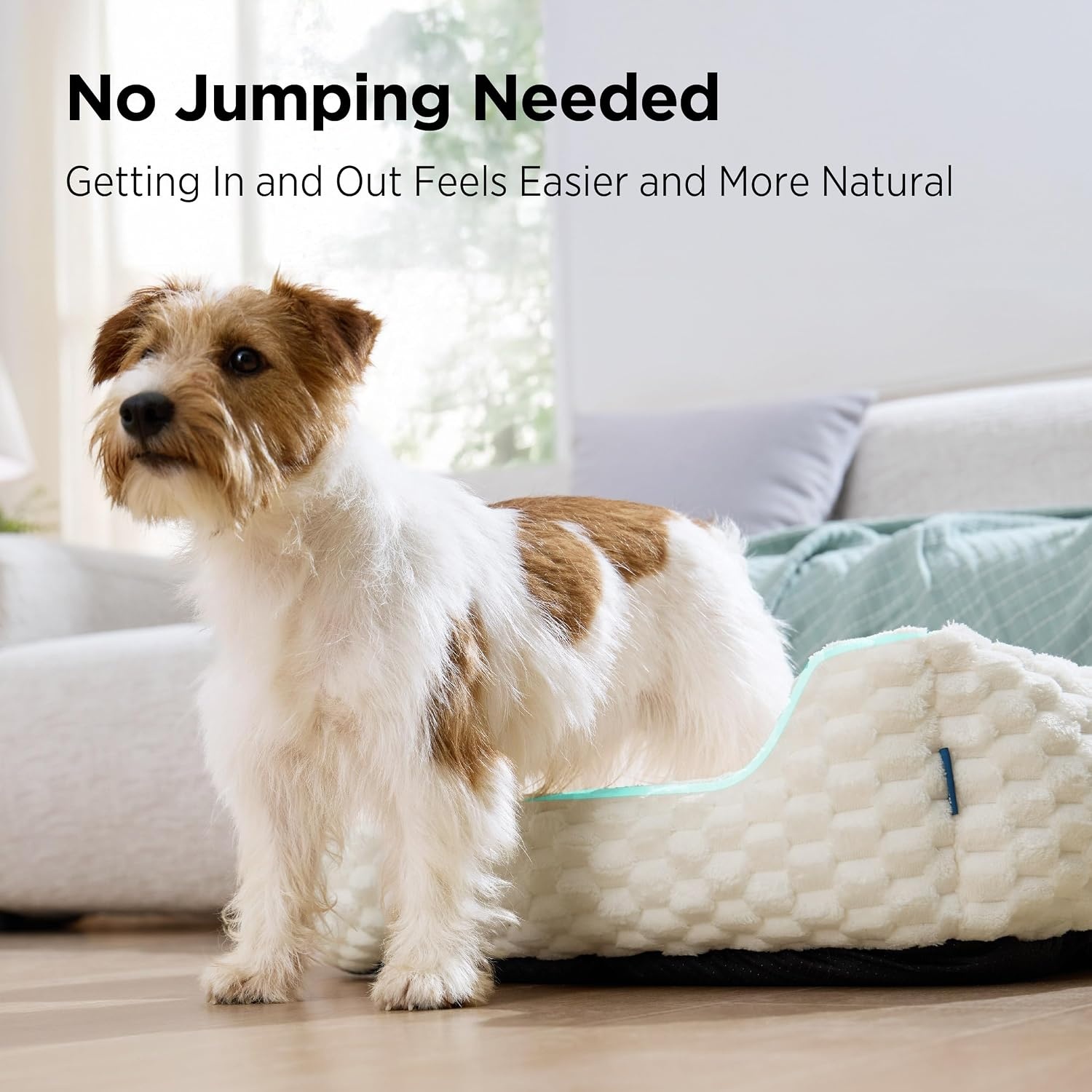 image:imageBedsure Washable Dog Beds Large Sized Dog with Bubble Fleece35in Cream Cute Pet BedFluffy Cuddler Pet CouchNeckFriendly BolsterNonSlip BottomMachine Washable Removable Cover Up to 50 lbsCamel Brown