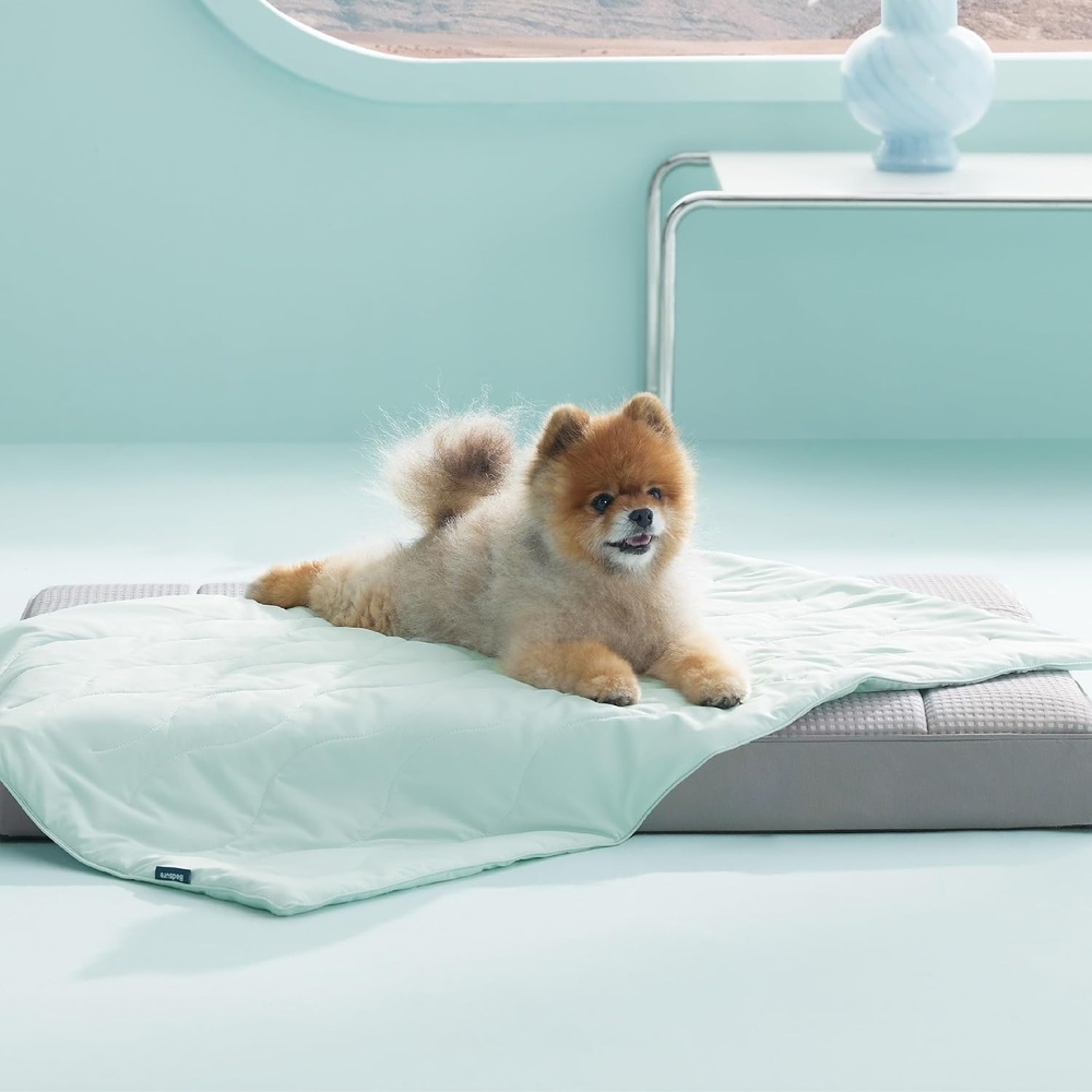 image:imageBedsure ArcticMax QMAXgt05 Premium Cooling Blanket for XL Dog50x60 Breathable Summer Washable Throw Dog Blanket Cooling Mat Pad Soft Durable Cold Self Cooling Pet Mat for Hot WeatherBlueTurquoise Green