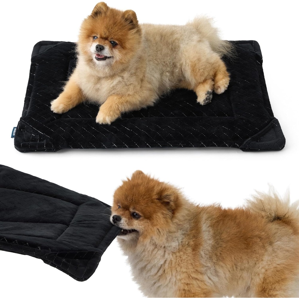 image:imageBedsure Chew Proof XL Dog Bed 41x27 Inch Black Chew Resistant Dog Crate Pad Durable Pet Kennel Mat Reinforced Corners Machine Washable Soft Velvet Surface Easy to CleanSmall 24L x 17W x 1Th