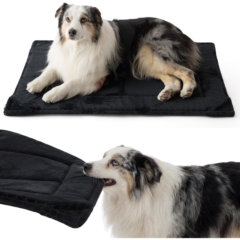 image:imageBedsure Chew Proof XL Dog Bed 41x27 Inch Black  Chew Resistant Dog Crate Pad Durable Pet Kennel Mat Reinforced Corners Machine Washable Soft Velvet Surface Easy to CleanXLCrate 41L x 27W x 1Th