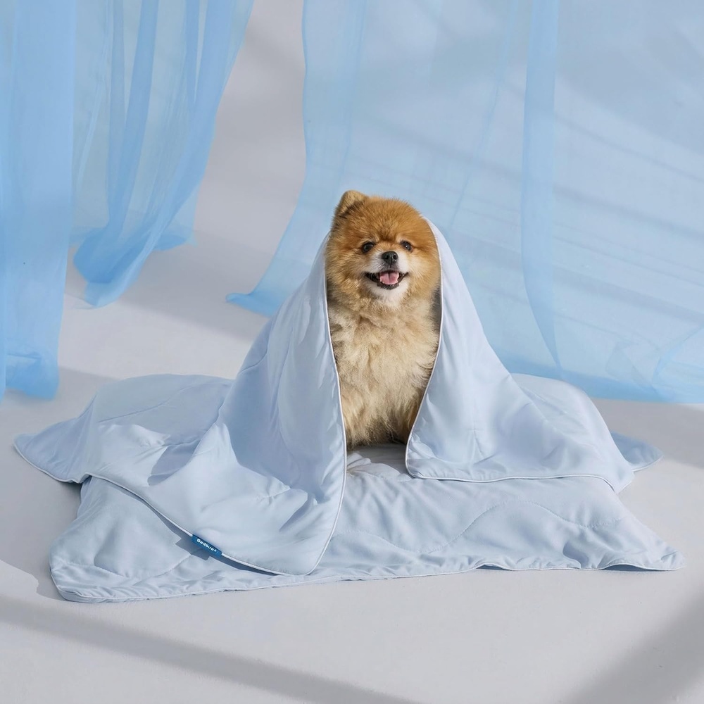 image:imageBedsure Cooling Blanket for Large Dogs Breathable Throw QMAXgt0440x50  AirCore FillWashable Dog Cooling Mat Soft Lightweight Pet Cat Couch Cover Cold Blanket for Summer Pale JadeArctic Blue