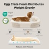 Bedsure 360°Oval Bolster Orthopedic Dog Bed Medium Size Dog,30″ Blue | Egg-Crate Foam for Senior Dogs, Big Comfort Pet Sofa Couch with Ultra-Soft Fleece Waterproof Washable Cover(Beige)