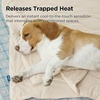 Bedsure ArcticMax™ Q-MAX>0.5 Premium Cooling Blanket for XL Dog，50×60” | Breathable Summer Washable Throw, Dog Blanket Cooling Mat Pad, Soft Durable Cold Self Cooling Pet Mat for Hot Weather，Blue(Gentle Cream)