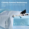 Bedsure Cooling Blanket for Large Dogs Breathable Throw Q-MAX>0.4,40×50 | Air-Core Fill，Washable Dog Cooling Mat Soft, Lightweight Pet Cat Couch Cover, Cold Blanket for Summer, Pale Jade(Arctic Blue)