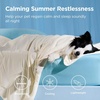Bedsure Cooling Blanket for Large Dogs Breathable Throw Q-MAX>0.4,40×50 | Air-Core Fill，Washable Dog Cooling Mat Soft, Lightweight Pet Cat Couch Cover, Cold Blanket for Summer, Pale Jade(Beige)