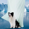 Bedsure Cooling Blanket for Large Dogs Breathable Throw Q-MAX>0.4,40×50 | Air-Core Fill，Washable Dog Cooling Mat Soft, Lightweight Pet Cat Couch Cover, Cold Blanket for Summer, Pale Jade(Pale Jade)