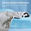 Bedsure Cooling Blanket for Large Dogs Breathable Throw Q-MAX>0.4,40×50 | Air-Core Fill，Washable Dog Cooling Mat Soft, Lightweight Pet Cat Couch Cover, Cold Blanket for Summer, Pale Jade(Pearl Grey)