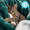 Bedsure GentleSoft Sherpa Fleece Throw Blanket for Couch, Non-Heated, Thick & Warm Cozy Comfort Blanket for Winter Fall, Soft Fuzzy Plush Throw Gifts for Women and Men, Grey, 50×60 Inches(04 – Forest Green)