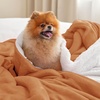 Bedsure GentleSoft Sherpa Fleece Throw Blanket for Couch, Non-Heated, Thick & Warm Cozy Comfort Blanket for Winter Fall, Soft Fuzzy Plush Throw Gifts for Women and Men, Grey, 50×60 Inches(09- Burnt Orange)