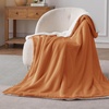 Bedsure GentleSoft Sherpa Fleece Throw Blanket for Couch, Non-Heated, Thick & Warm Cozy Comfort Blanket for Winter Fall, Soft Fuzzy Plush Throw Gifts for Women and Men, Grey, 50×60 Inches(09- Burnt Orange)