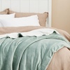 Bedsure GentleSoft Sherpa Fleece Throw Blanket for Couch, Non-Heated, Thick & Warm Cozy Comfort Blanket for Winter Fall, Soft Fuzzy Plush Throw Gifts for Women and Men, Grey, 50×60 Inches(04 – Sage Green)