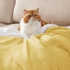 Bedsure GentleSoft Sherpa Fleece Throw Blanket for Couch, Non-Heated, Thick & Warm Cozy Comfort Blanket for Winter Fall, Soft Fuzzy Plush Throw Gifts for Women and Men, Grey, 50×60 Inches(03 – Yellow)