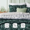 Bedsure Light Grey Queen Comforter Set – Reversible Floral Bed Set, Soft Summer Lightweight Bedding for Bedroom, 1 Soft Botanical Flowers Comforter and 2 Pillow Shams(03 – Dark Green)