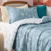 Bedsure Light Grey Queen Comforter Set – Reversible Floral Bed Set, Soft Summer Lightweight Bedding for Bedroom, 1 Soft Botanical Flowers Comforter and 2 Pillow Shams(11 – Mineral Blue)