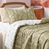 Bedsure Light Grey Queen Comforter Set – Reversible Floral Bed Set, Soft Summer Lightweight Bedding for Bedroom, 1 Soft Botanical Flowers Comforter and 2 Pillow Shams(02 – Olive Green)
