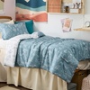 Bedsure Light Grey Queen Comforter Set – Reversible Floral Bed Set, Soft Summer Lightweight Bedding for Bedroom, 1 Soft Botanical Flowers Comforter and 2 Pillow Shams(11 – Mineral Blue)