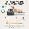 Bedsure Orthopedic XL Dog Bed Extra Large with Removable Washable Cover | 42″ Classic Comfy Xlarge Dog Couch Sofa Waterproof, Cozy Bolster Sides, Nonslip Bottom, Pet Bed for Cats,Senior Dogs, Grey(Dark Grey)
