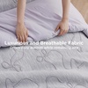 Bedsure Pink King Size Comforter Set, GentleSoft™ 3 Pieces Breathable Bow Comforter Set Women with 2 Pillow Shams, Cute King Bedding Set Pink Room Decor Aesthetic Bedroom Decor, 104×90 Inches(01 – Bow Light Purple)