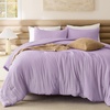 Bedsure Queen Comforter Set, Dark Gray Soft Prewashed Bedding for All Seasons, 3 Pieces GentleSoft™ Bed Set, 1 Lightweight Comforter (90″x90″) and 2 Pillowcases (20″x26″)(17 – Lavendar)