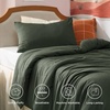 Bedsure Queen Comforter Set, Dark Gray Soft Prewashed Bedding for All Seasons, 3 Pieces GentleSoft™ Bed Set, 1 Lightweight Comforter (90″x90″) and 2 Pillowcases (20″x26″)(03 – Dark Green)