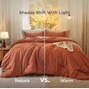 Bedsure Queen Comforter Set, Dark Gray Soft Prewashed Bedding for All Seasons, 3 Pieces GentleSoft™ Bed Set, 1 Lightweight Comforter (90″x90″) and 2 Pillowcases (20″x26″)(28 – Orange)