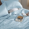 Bedsure Queen Size Quilt, Lightweight Comforter Set, Mineral Blue Bedspread | Coverlet, Basket Weave, All-Season Comfort, Skin-Friendly Soft, Breathable, Machine Washable, 90″x96″, 3 Pcs, 2 Pillow Shams(25 – Sky Blue)